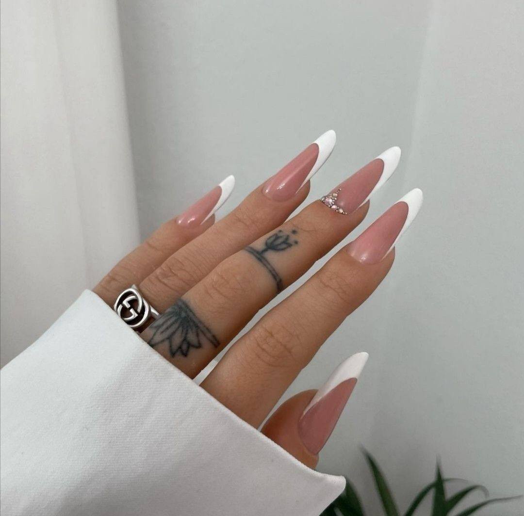 photo_2026-01-29_14-31-16 (2)