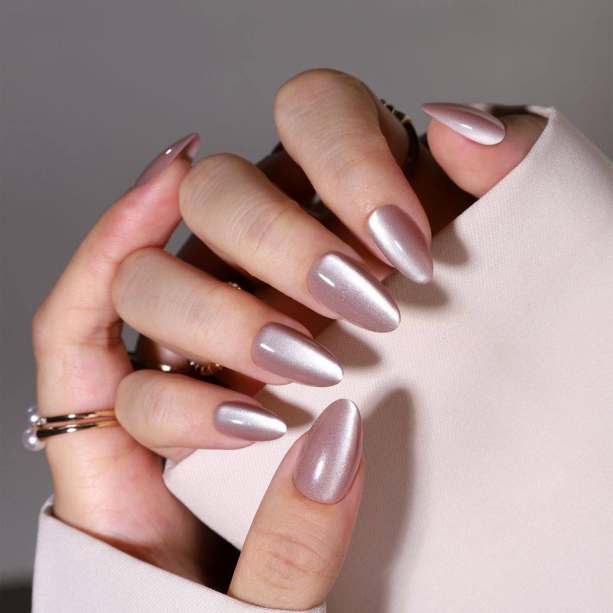 photo_2026-01-29_14-31-17 (3)